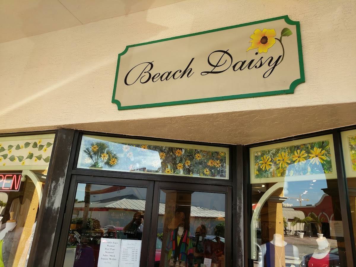 Beach Daisy
