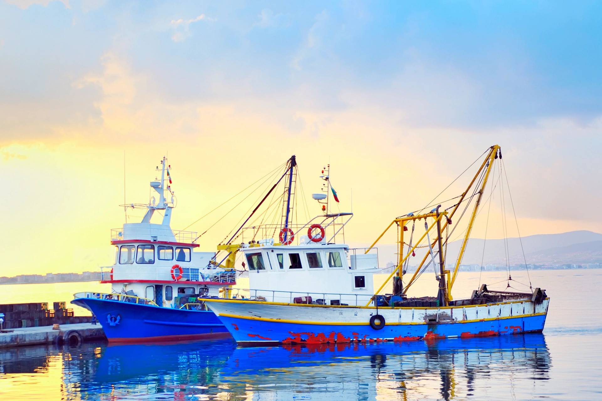 Charlotte Fish Depot