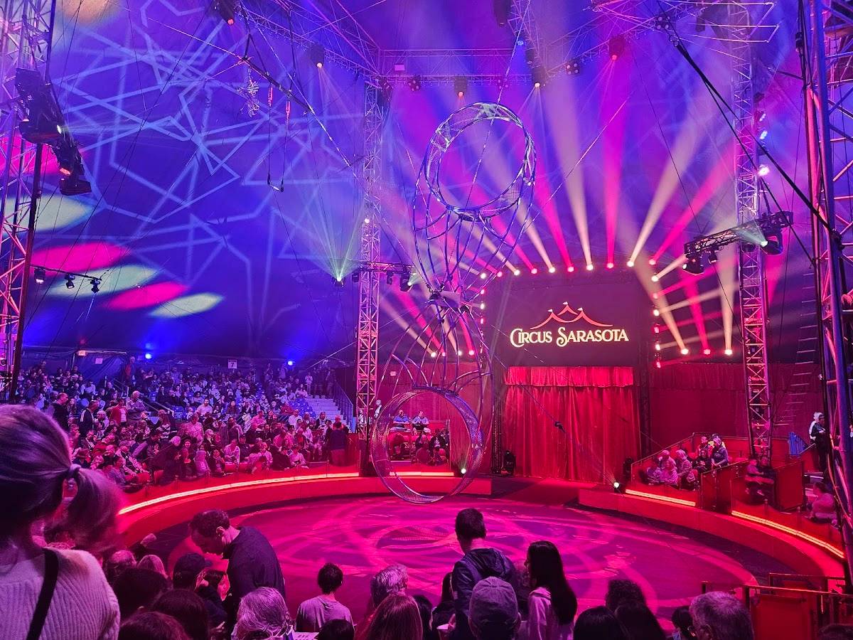 Circo