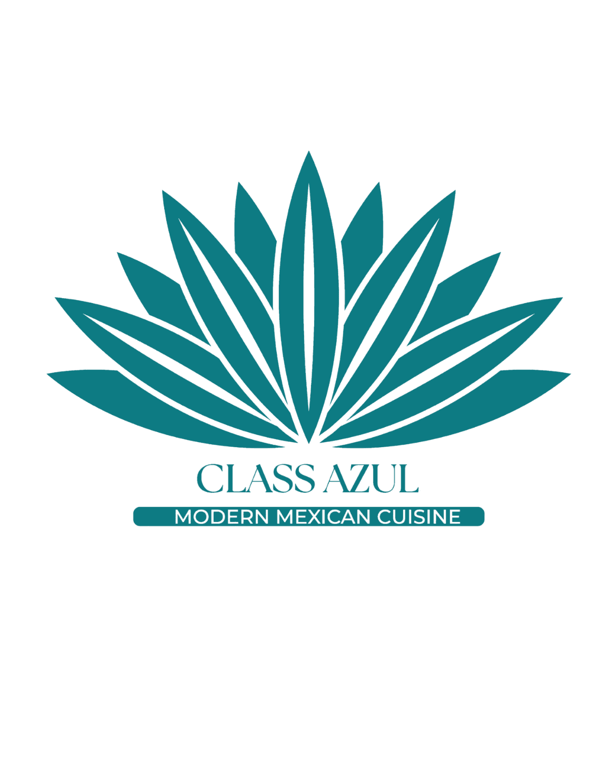 Clase Azul