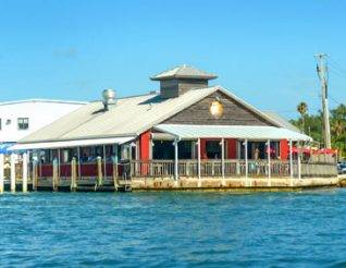 Old Salty Dog