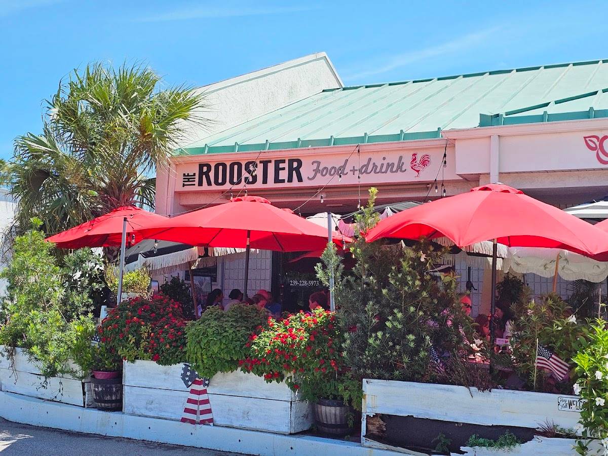 The Rooster