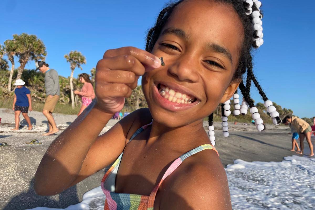 Venice Beach with shark tooth hunters