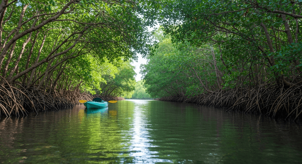 Kayaker paddling through mangrove tunnels in Estero Bay near Fort Myers Florida