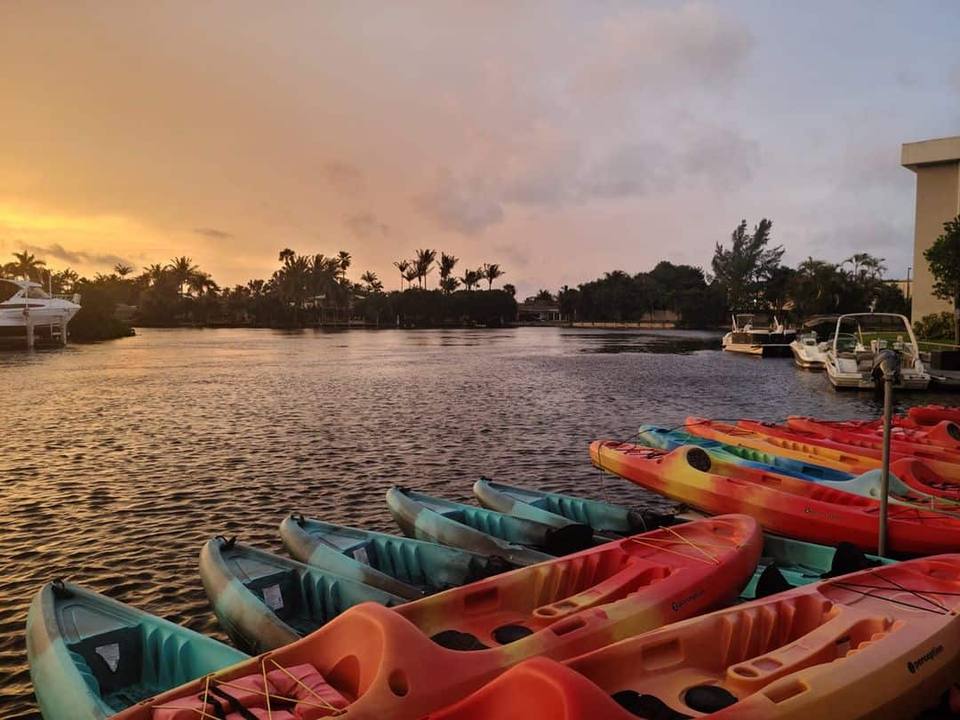 Kayakers in a calm estuary with wildlife-rich shoreline