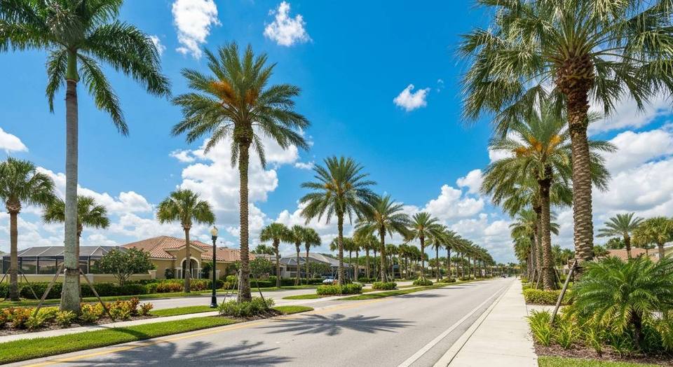 Sunny Florida weather with palm trees and blue sky