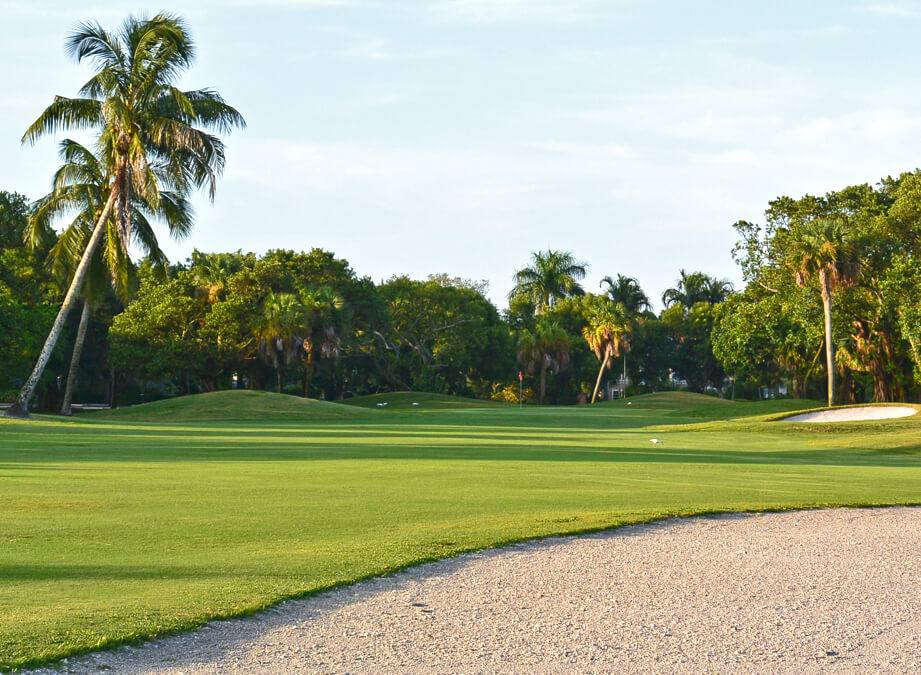 Tiburon Golf Club course in Naples Florida