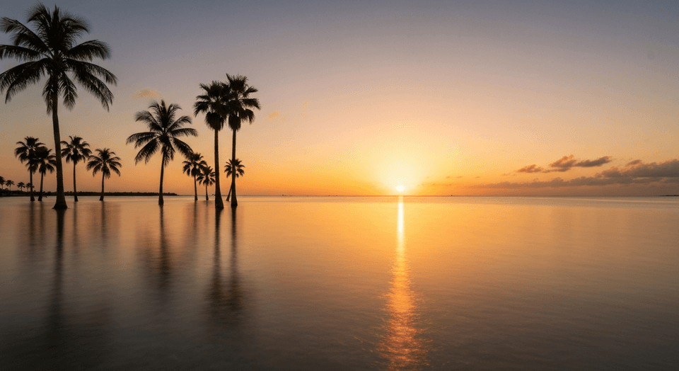 Sunset view over Bonita Springs waterfront with palm trees and calm Gulf waters