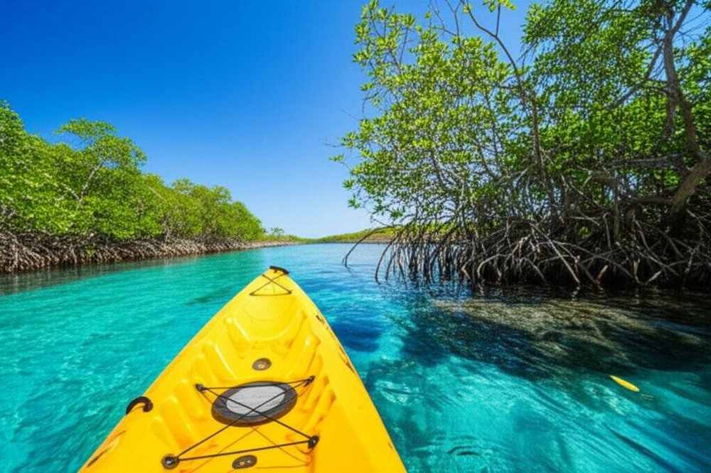 Outdoor activities in Southwest Florida