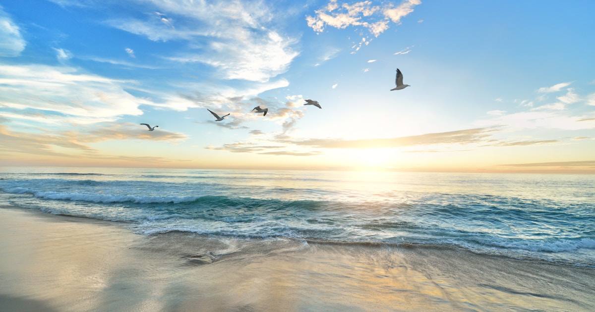 Beautiful Sarasota beach sunset with seagulls flying over waves