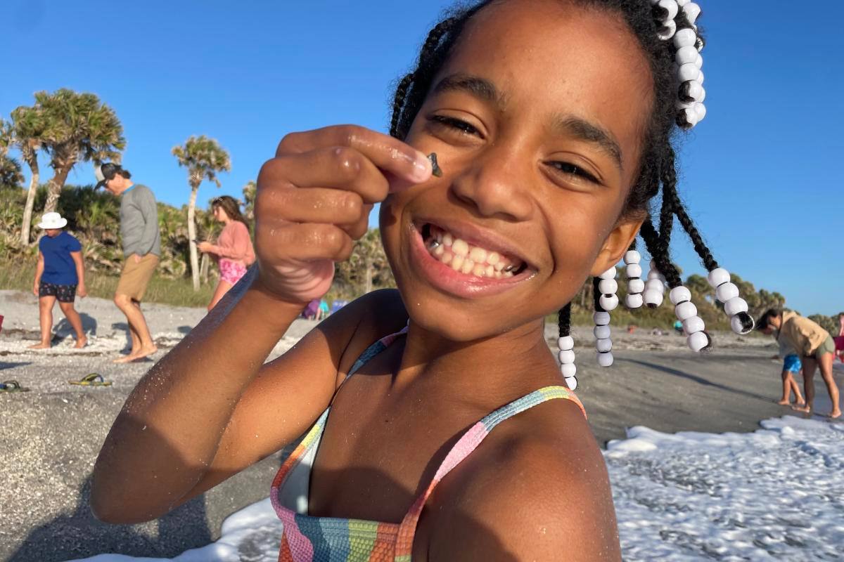 Venice Beach with shark tooth hunters