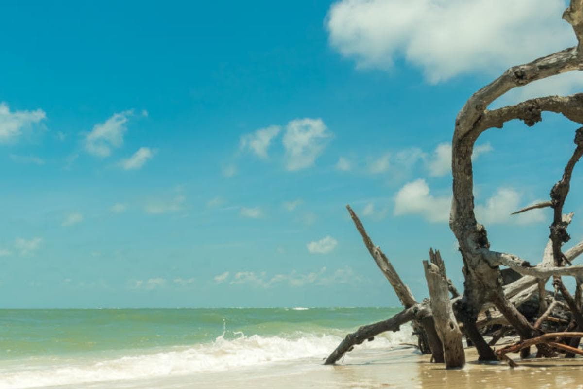 Waterfront dining at sunset in Bonita Springs, Florida
