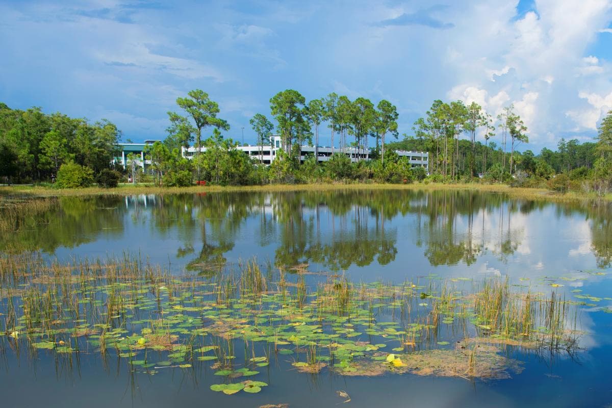 Outdoor dining at Coconut Point in Estero, Florida