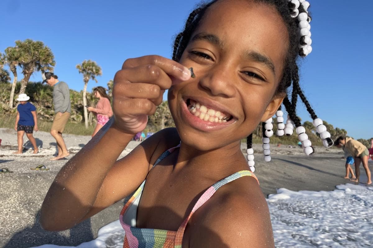 Venice Beach with shark tooth hunters