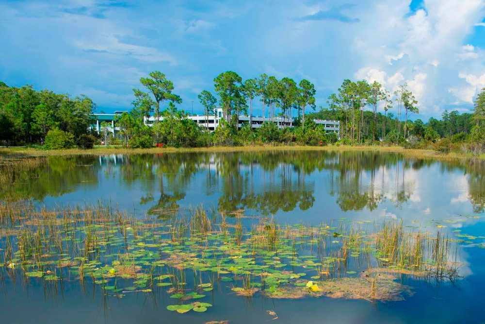 Outdoor dining at Coconut Point in Estero, Florida