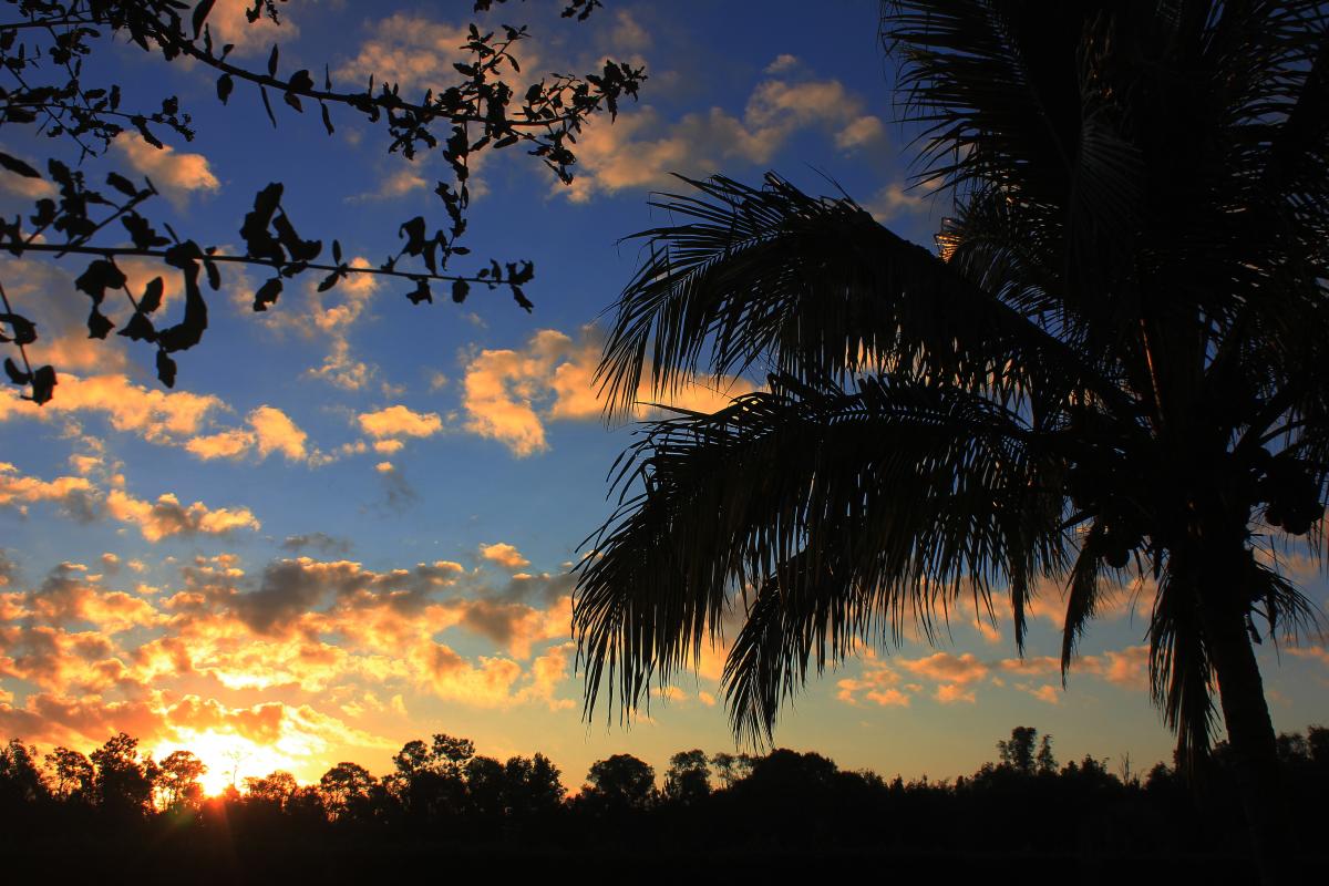 Ruth's Chris at Coconut Point Estero