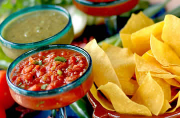 Iguana Mia Cape Coral