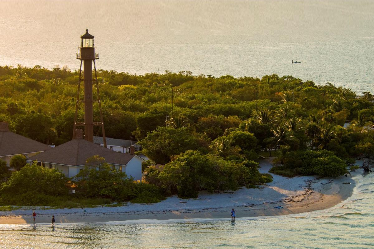 Sanibel Island shelling