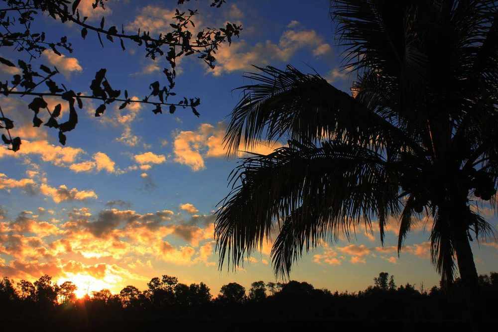 Ruth's Chris at Coconut Point Estero